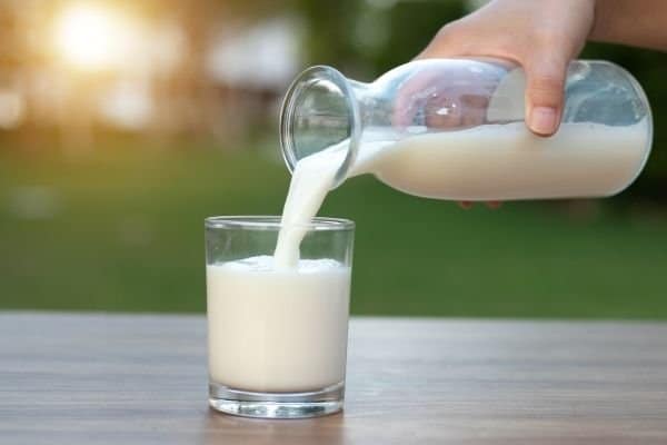 milk calcium rich foods