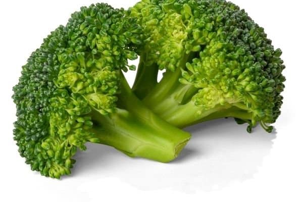 broccoli as a weightloss food