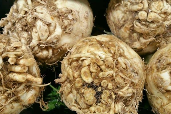 low-carb root vegetables celery root