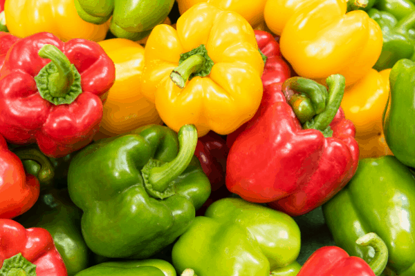 BELL PEPPER