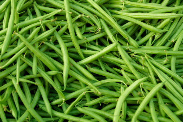 GREEN BEANS