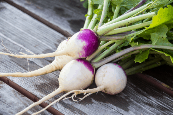 turnip keto veggies list