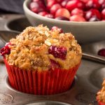 oatmeal cranberry muffin