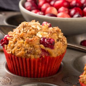 oatmeal cranberry muffin