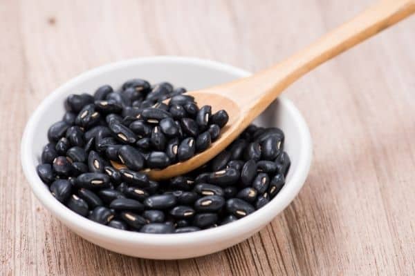 black beans high protein foods