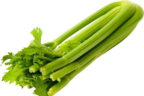 celery