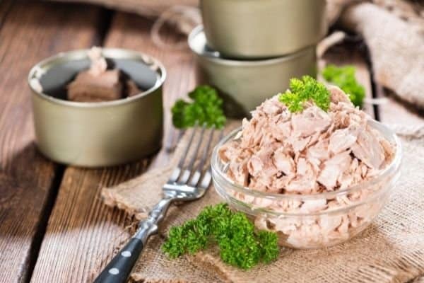 canned tuna