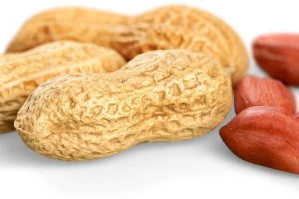 peanuts weight loss foods