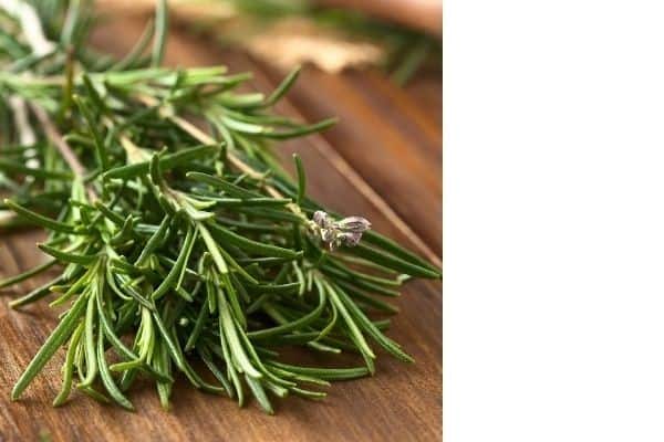 rosemary leaves