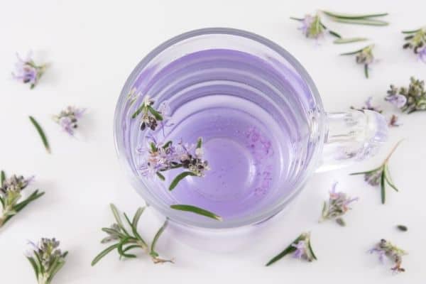 rosemary tea recipe