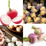 low-carb root vegetables