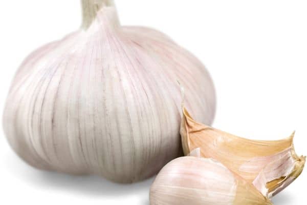 garlic low-carb root vegetables